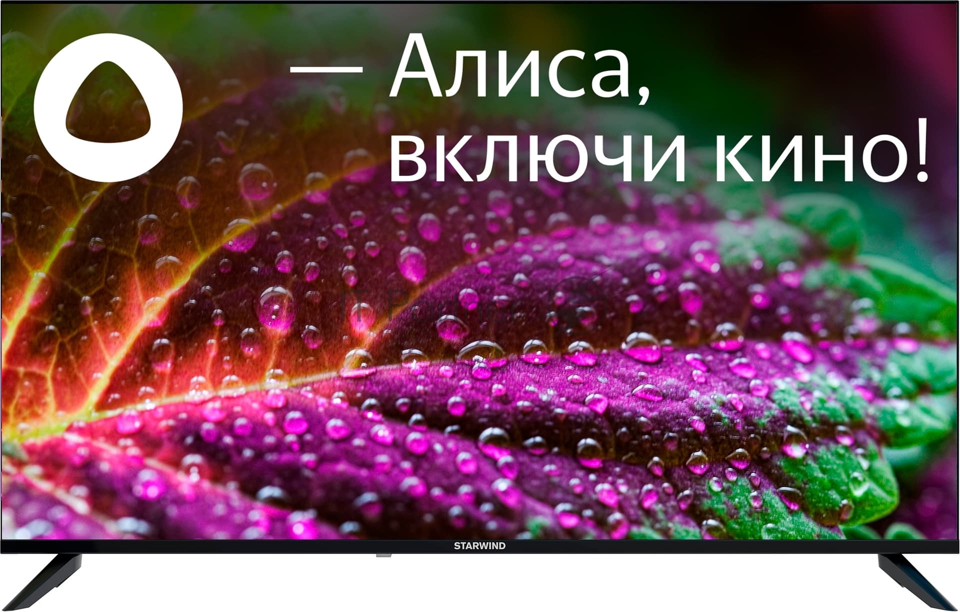 Starwind Телевизор Starwind 50" SW-LED50UG403 черный LED UHD 60Hz Яндекс ТВ