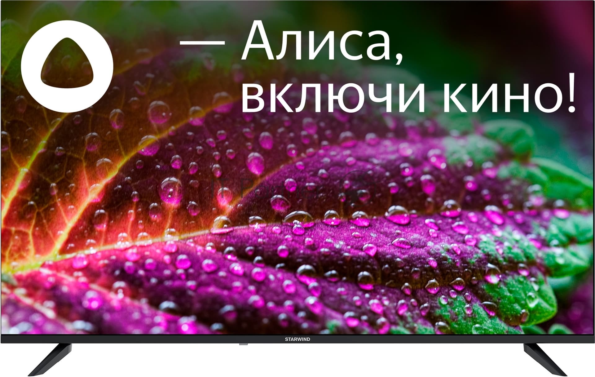 Starwind Телевизор Starwind 55" SW-LED55UG403 черный LED UHD 60Hz Яндекс ТВ