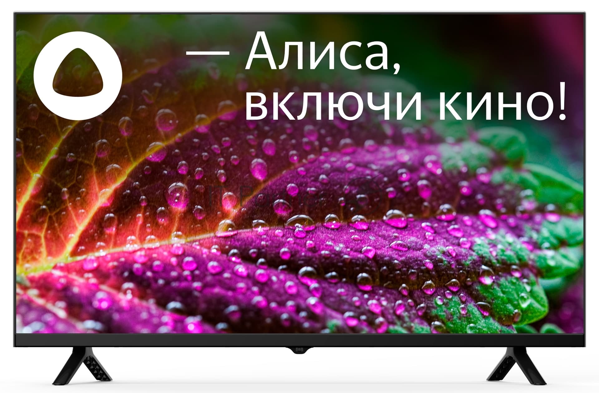 Starwind Телевизор Starwind 32" SW-LED32SG305 черный LED HD 60Hz Яндекс.ТВ