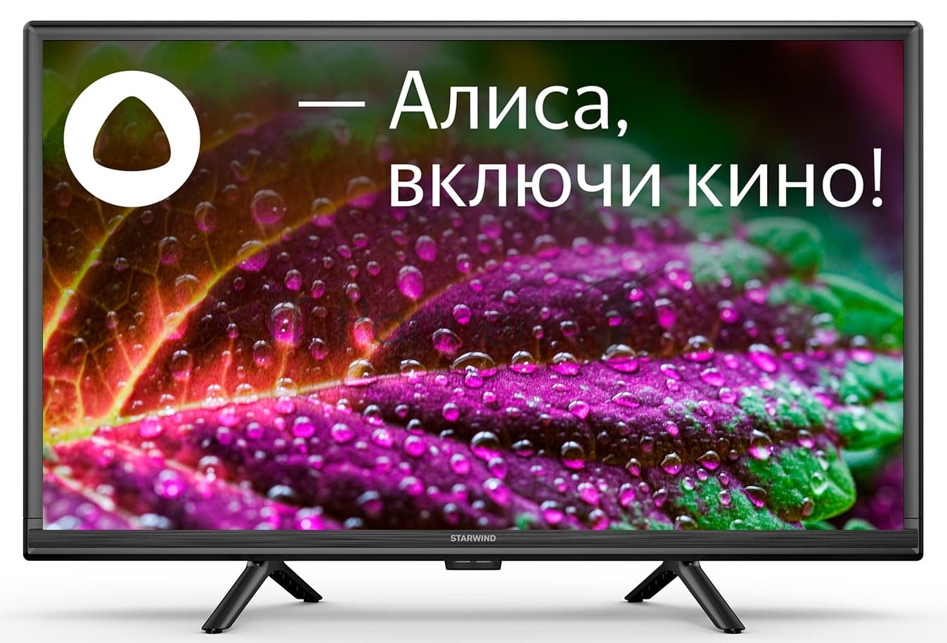 Starwind Телевизор Starwind 24" SW-LED24SG304 черный LED HD 60Hz Яндекс ТВ
