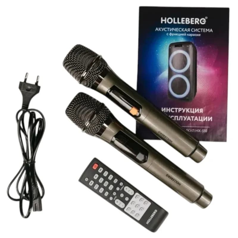 Акустическая система с функцией караоке HOLLEBERG HX-510 — фото 2