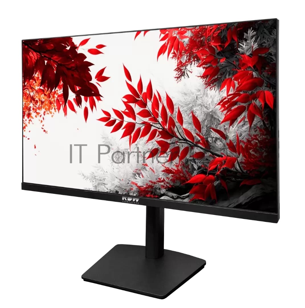 RDW Монитор RDW Computers 31.5" RDW3207 черный IPS 1ms HDMI M/M HAS Piv 350cd 178гр/178гр 2560x1440 100Hz VGA DP QHD USB (RUS)