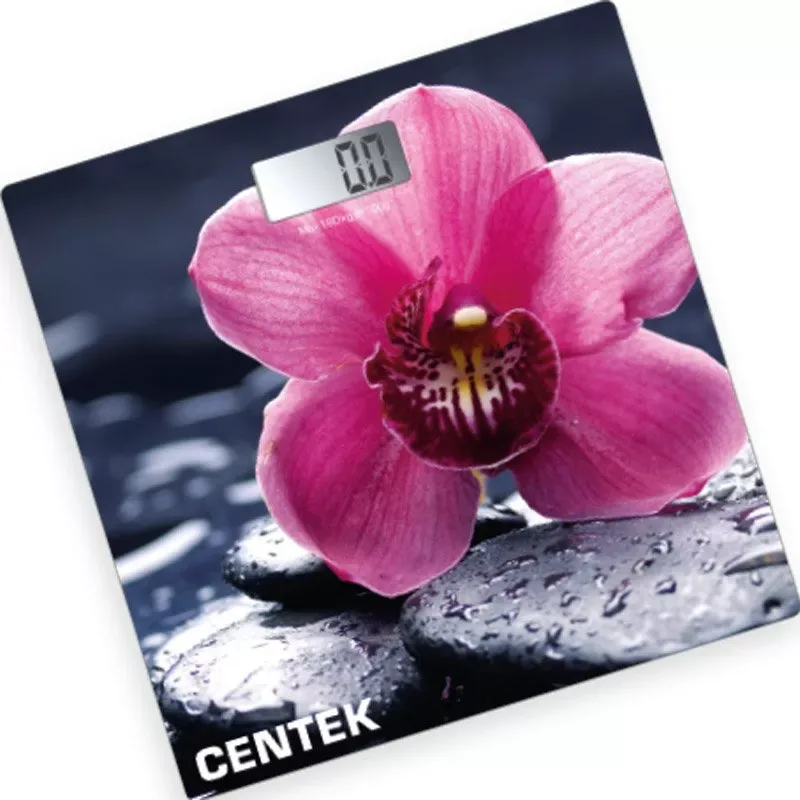 Напольные весы Centek CT-2421 SPRING FLOWER, разноцветный