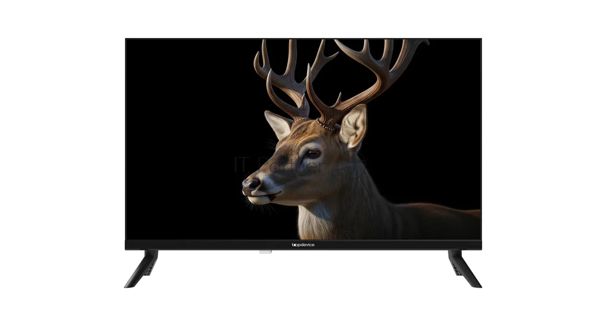 Телевизор TopDevice TDWC24BH3260V, чёрный