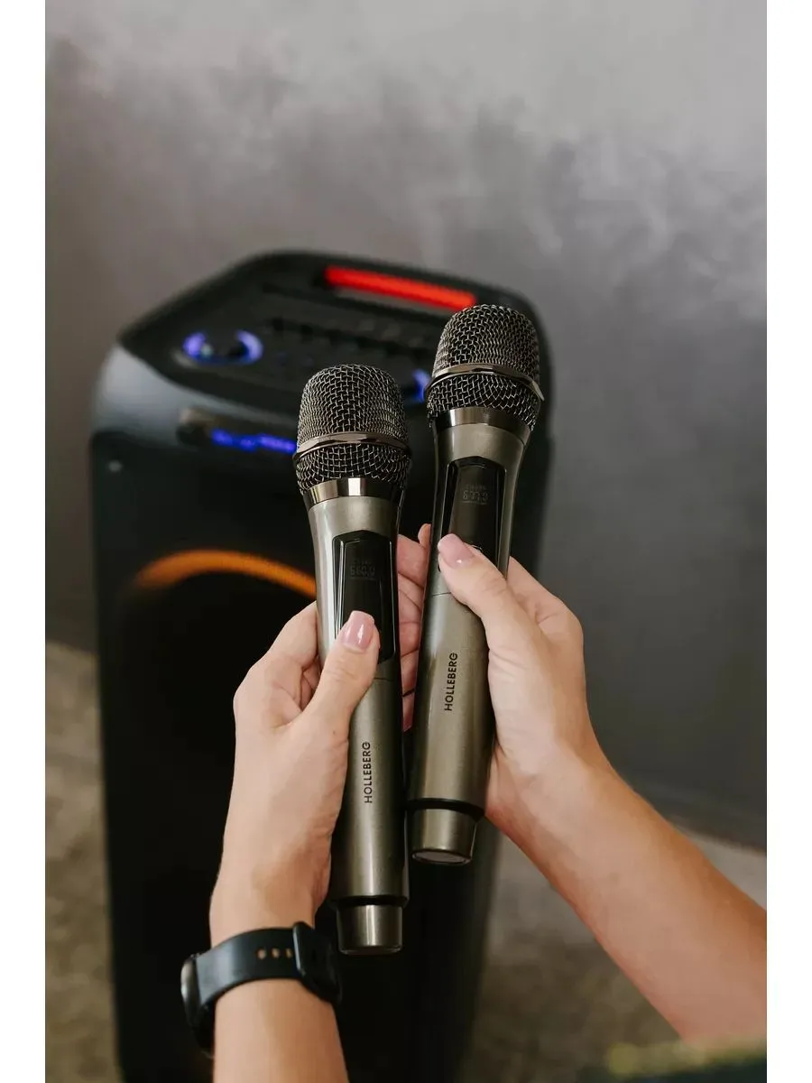 Акустическая система Holleberg HX-E1252, чёрный — фото 4