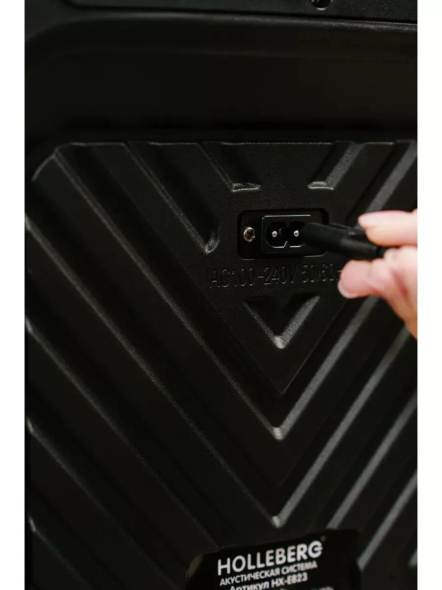Акустическая система Holleberg HX-E823, чёрный — фото 2