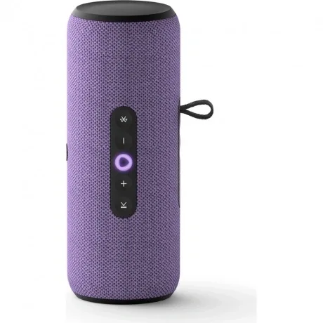 Акустическая система SmartBuy EVOLUTION 2 (MP3-FM), чёрный