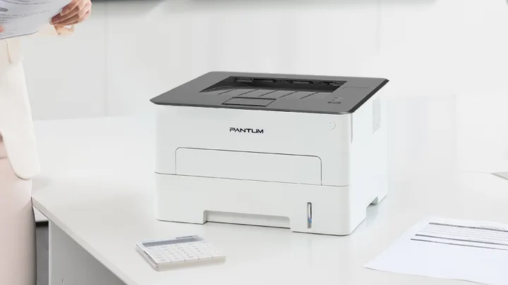 Принтер Pantum P3010D
